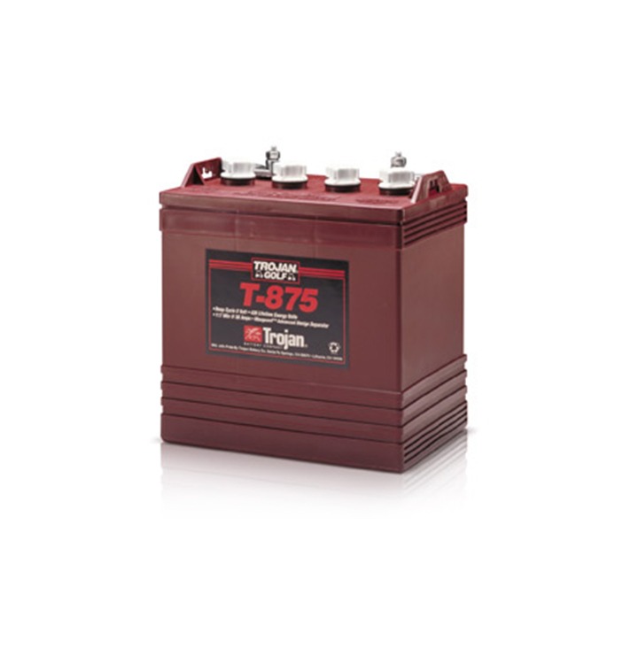 Batterie Piombo Acido Deep Cycle Trojan T 875 8v 170 Ah